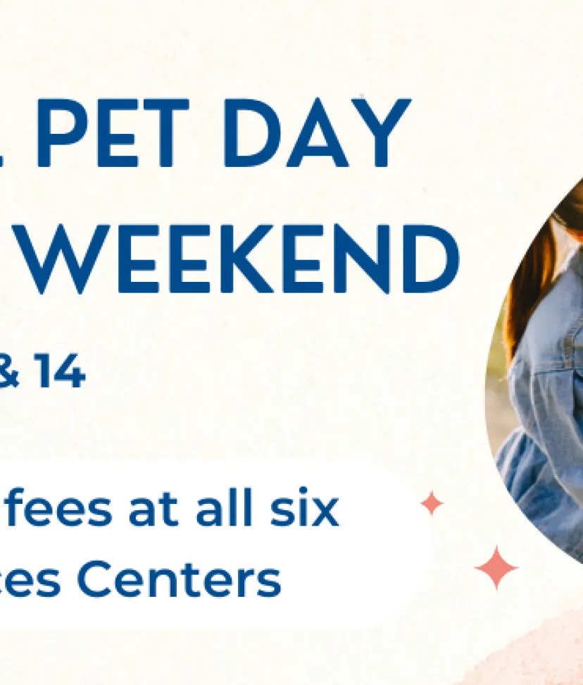 National Pet Day Adoption Weekend LA Animal Services